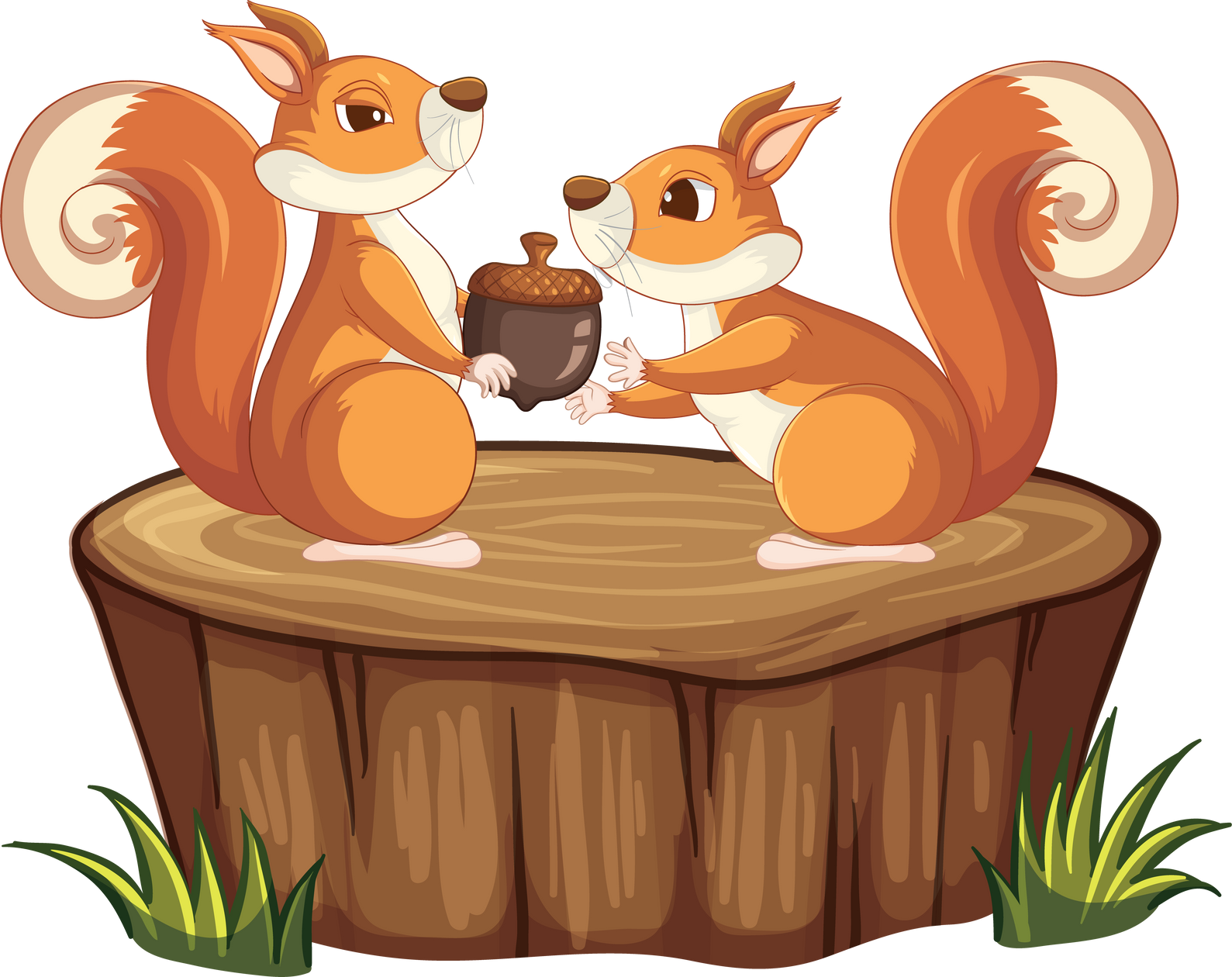 Cute Squirrel Animal Cartoon