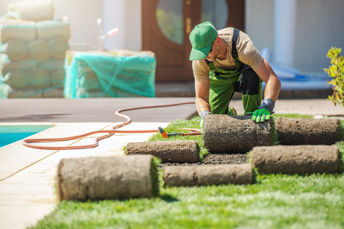 Gardener Installing Grass Turfs   